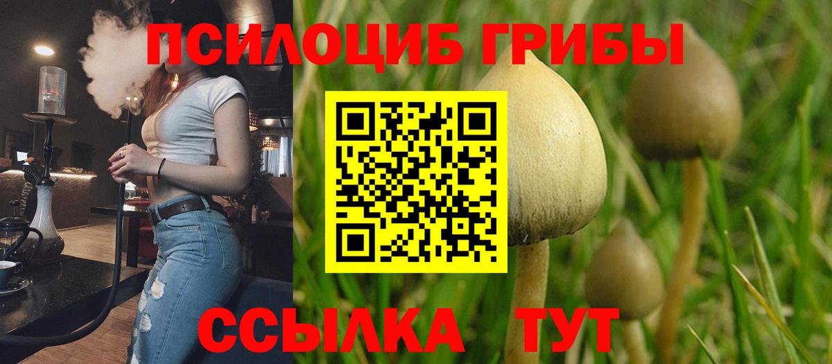 Галлюциногенные грибы GOLDEN TEACHER  Галлюциногенные грибы GOLDEN TEACHER  Донской  Вход с VPN 