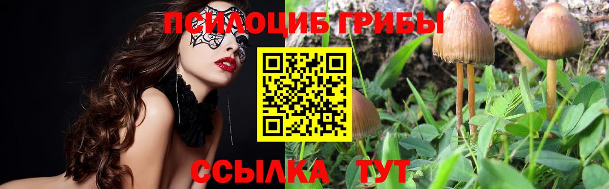 Галлюциногенные грибы GOLDEN TEACHER Донской